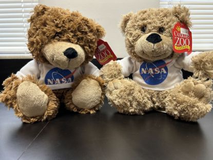 Picture of NASA Bear